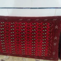 پشتی|پشتی|تاکستان, |دیوار
