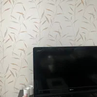 فروش تلویزیون