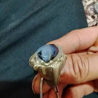 اشیا کلکسیونی