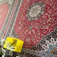 فرش|فرش|قشم, |دیوار