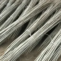 تخفیف 10٪ نهال صـنوبر تا اتمام موجودی