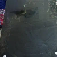 تلوزیون سامسونگ|تلویزیون و پروژکتور|بندرعباس, |دیوار