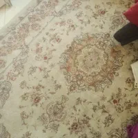 فرش ماشینی|فرش|تهران, علم و صنعت|دیوار