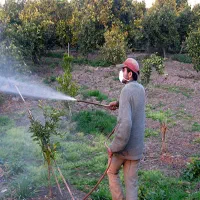 خدمات سمپاشی مزارع و باغات و باغچه