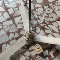 پنکه سقفی
