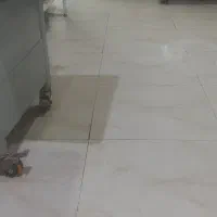 نیازمند نیرو خدماتی خانم