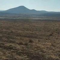 راهنمایی معاوضه فروش بیلوردی پیکان پراید پژو|فعالیت داوطلبانه|خواجه, |دیوار