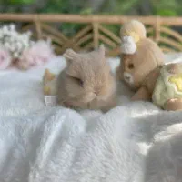 وودی|موش و خرگوش|اصفهان, باغ دریاچه|دیوار