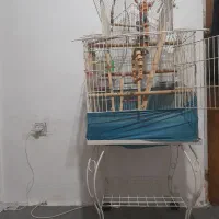 قفس سلطنتی مکانیزه چرخ دار