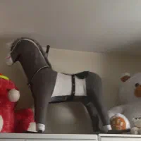 دو عدد شاخصی|اسباببازی بچه|شاهینشهر, مسکن مهر|دیوار