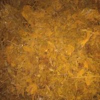 زغال( برگ و چوب تن با کو)|عمدهفروشی|اصفهان, رکن الدوله غربی|دیوار