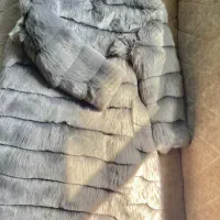 پالتو لوسیفر