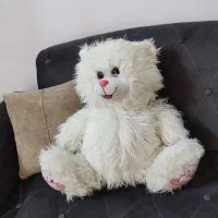 عروسک|اسباب‌بازی بچه|کرمانشاه, |دیوار