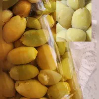 خرما خارک نارس برهی