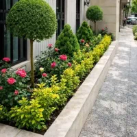 هرس، وجین، سمپاشی و گلکاری حیاط