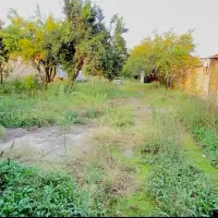فروش-زمین