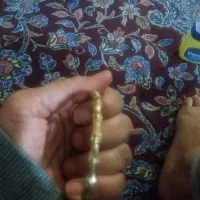 طلا|جواهرات|شیراز, سلطان آباد|دیوار