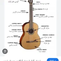 آموزش گیتار برای کودکان وبانوان