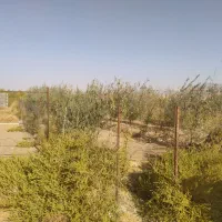 زمین معصوم اباد