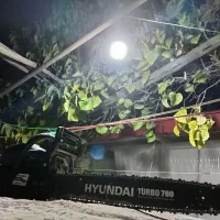 خرید چوب و برش چوب و درخت|خدمات باغبانی و درختکاری|تبریز, |دیوار