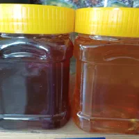 عسل چهل گیاه با تغذیه و بدون تغذیه زنبور (درمانی)