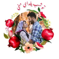 تیشرت یلدا|لباس|گرگان, |دیوار