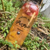 صندوق دار خانم