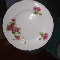 ((توجه فروش فوری دیوار کوب بسیار زیباتوجه))