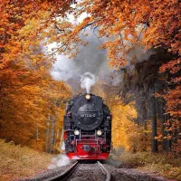 ارزان‌ترین تورهای مشهد(( ویـژه نوروز محـدود