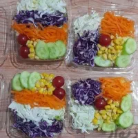 تعدادی نیروی زرنگ و فعال
