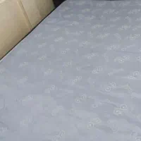 مبل شویی تخصصی کلاسیک|خدمات نظافت|عباسآباد, |دیوار