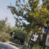 آپارتمان ۱۱۸ متری ۸۰متر حیاط اختصاصی بهجت آباد