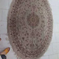 فرش بیضی 4 متری|فرش|رباط‌کریم, رباط‌کریم|دیوار