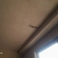 نیازمند گچ کار