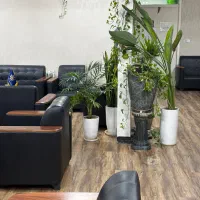 منشی بازاریاب خانم