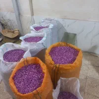 پر گل محمدی ارگانیک به شرط آزمایش درجه یک