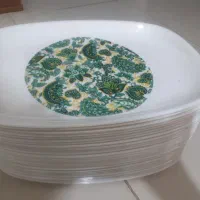 دیس ملامین نو