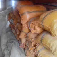 کپک|لوازم جانبی حیوانات|تالش, طولارود|دیوار