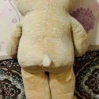 عروسک خرسی|اسباب‌بازی بچه|صباشهر, |دیوار