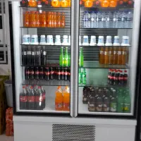 یخچال دودرب کبابی،یخجال مکعبی،مرغ بریان