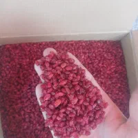 زرشک امسالی