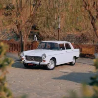 پژو ۴۰۴ بکر و استثنائی ماشین دودی شعبه همیلا