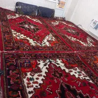 فرش هریس|فرش|تبریز, |دیوار