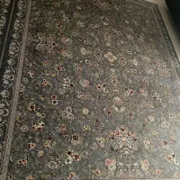 فرش ۷۰۰شانه دوازده متری|فرش|دامغان, |دیوار