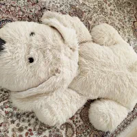 عروسک پشمالو