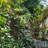 اجاره-منزل-کوتاه-مدت