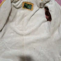 پالتو زنانه|لباس|بومهن, |دیوار