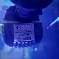 موج ساز|ماهی|بندرعباس, |دیوار