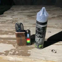 پاد ماد ارگاسp2