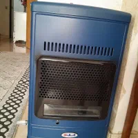 بخاری ژابنی